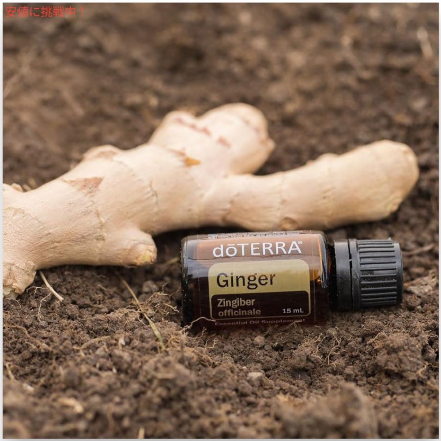 ドテラ doTERRA エッセンシャルオイル ジンジャー アロマオイル 精油 15ML / Essential Oil Ginger 並行輸入品】ドテラ doTERRA エッセンシャルオイル ジンジャー アロマ