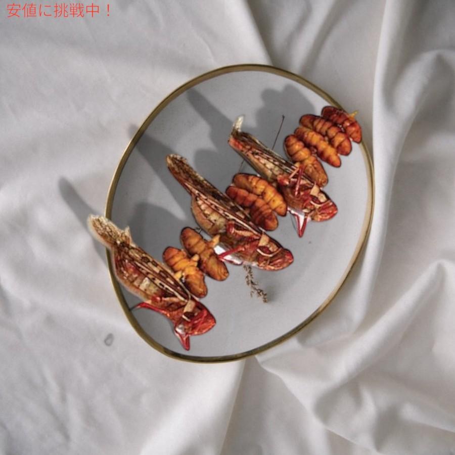 並行輸入品】ケバブ風昆虫食 Edible Bug Kebab [調理済みバッタと