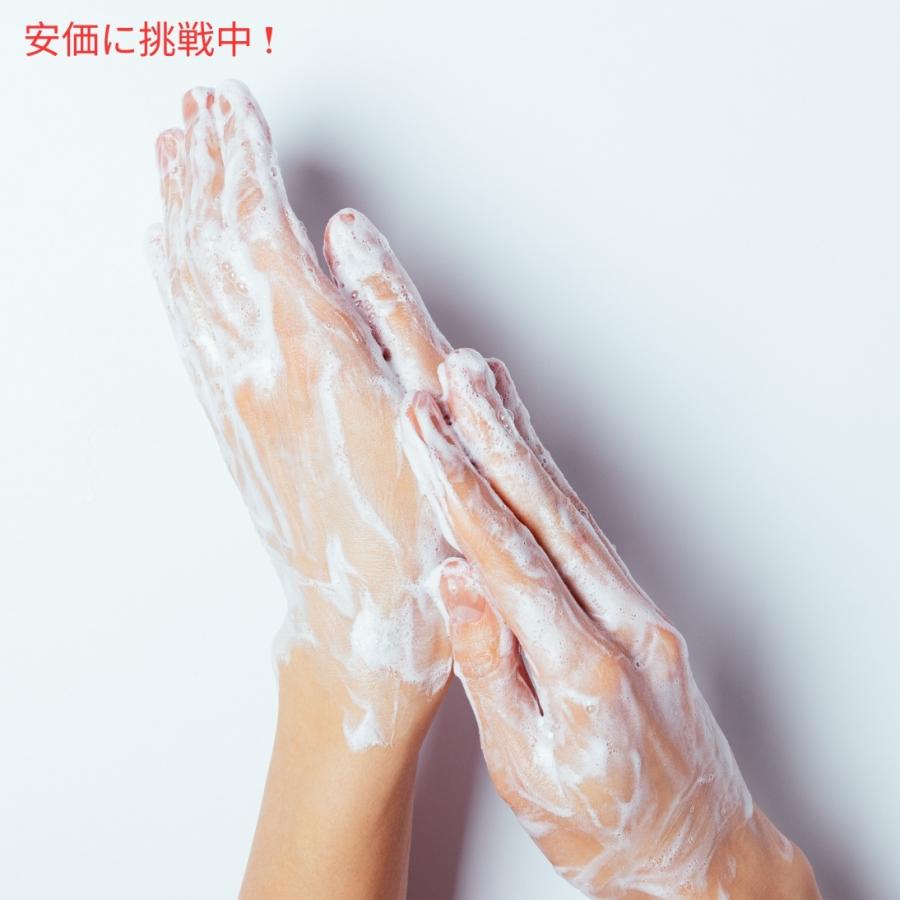 【バンパイアブラッド】バスアンドボディーワークス ハンドソープ４本 並行輸入品】Bath & Body Works バス&ボディワークス ヴァンパイア