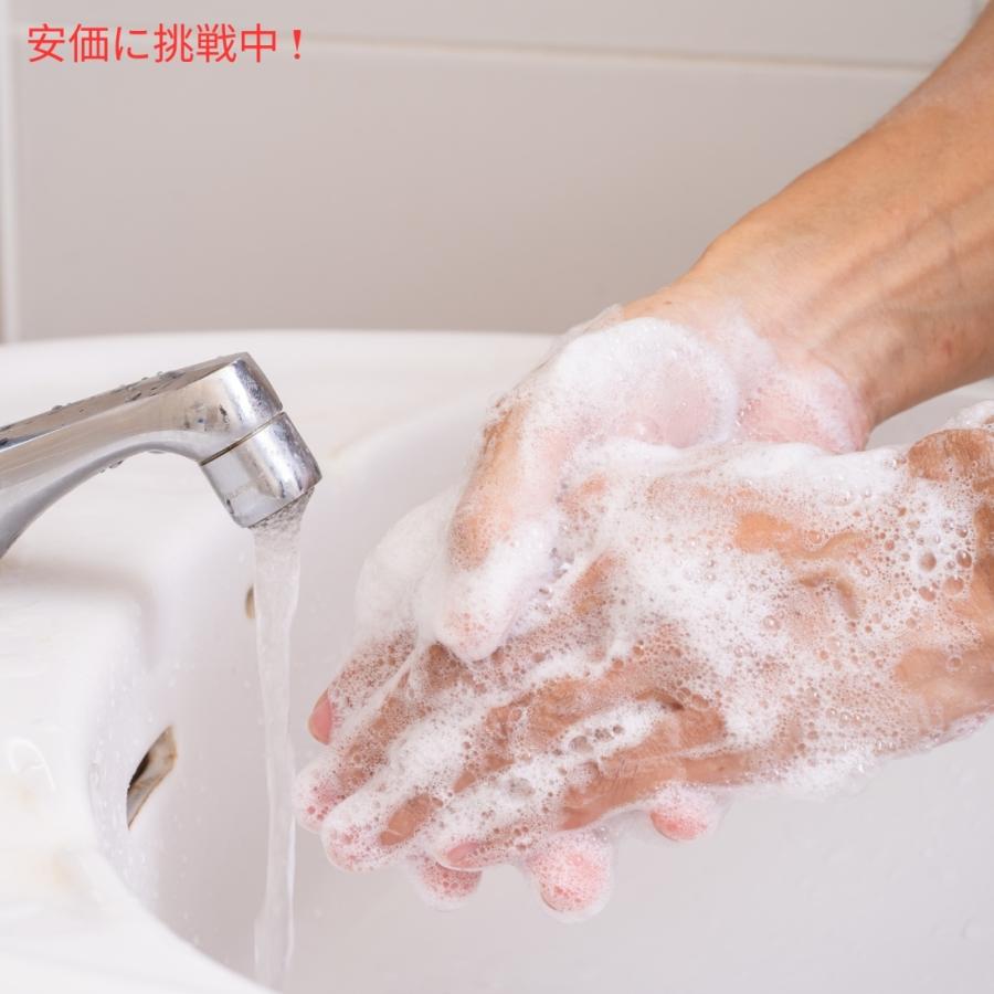 並行輸入品】Bath & Body Works バス&ボディワークス ヴァンパイア