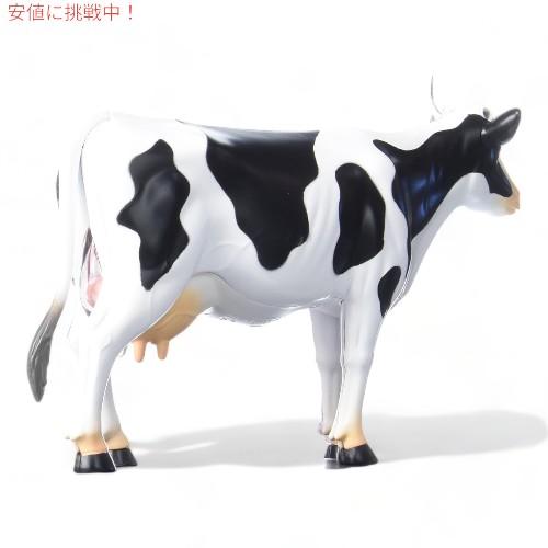 並行輸入品】Tedco テッドコ 4D Master 牛解剖模型 Vision Cow Model