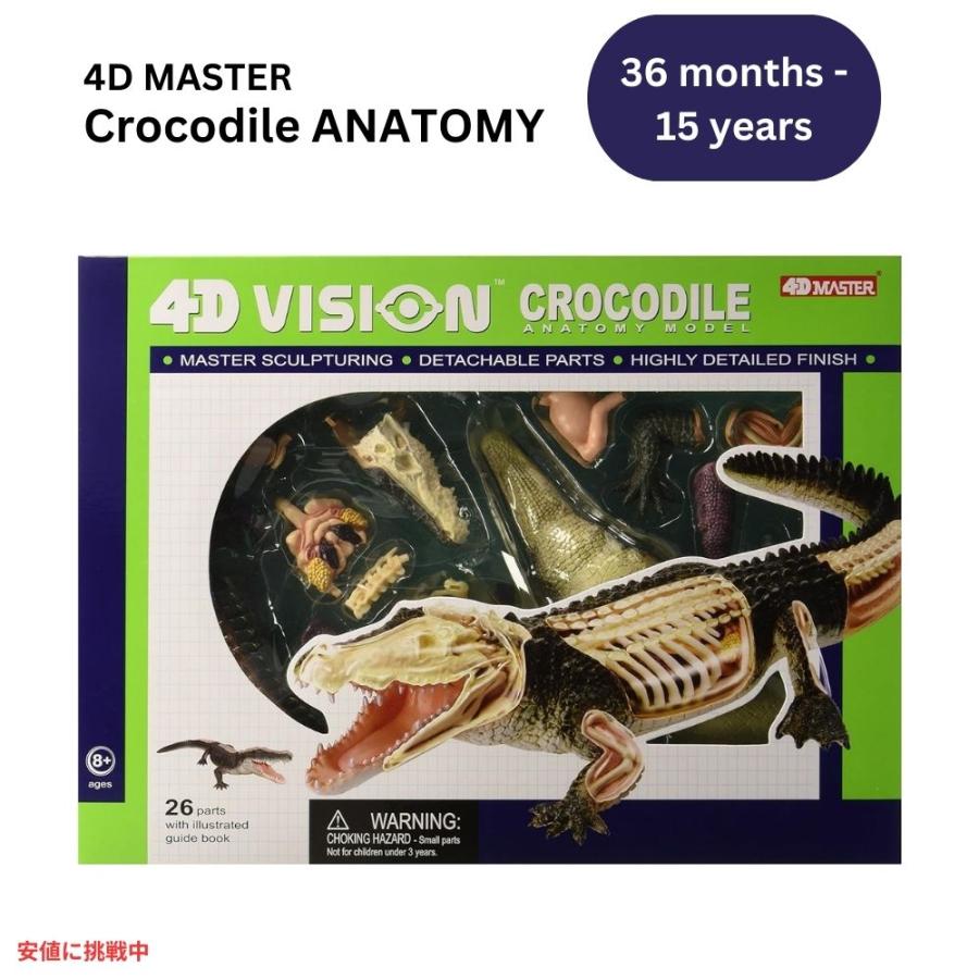 並行輸入品】4Dビジョン ワニ解剖模型 4D Vision Crocodile