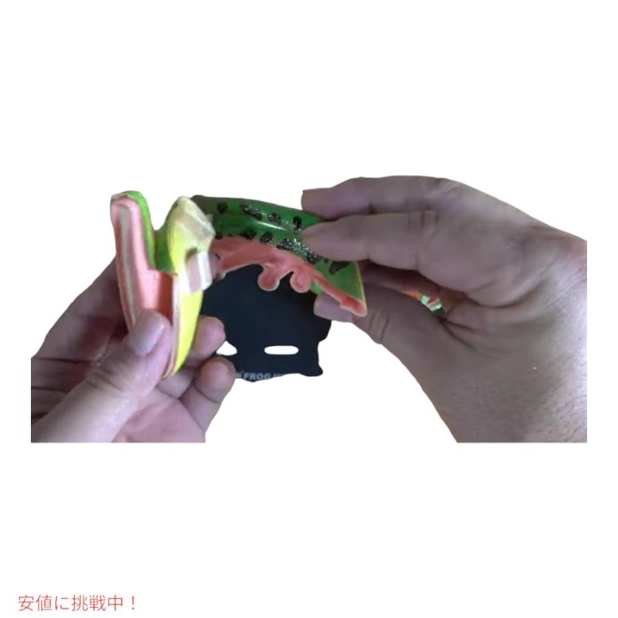並行輸入品】4Dビジョン カエル解剖模型 4D Vision Frog Anatomy Model