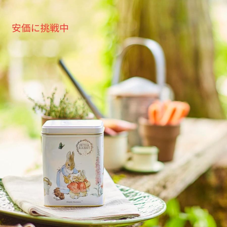 溢れかえる岸辺　ボーダーレス英語版4枚セット 並行輸入品】New English Teas ビアトリクス ポター ピーターラビット