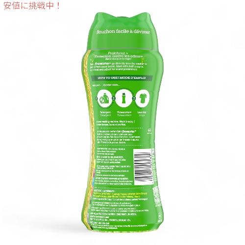 ゲイン 【並行輸入品】Gain ファイヤーワークス 洗濯用香り付けビーズ