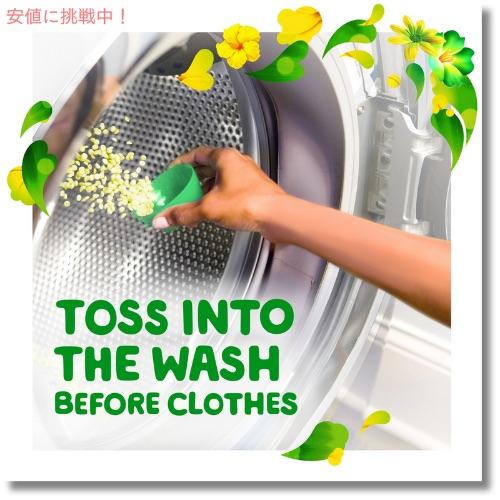 ゲイン 【並行輸入品】Gain ファイヤーワークス 洗濯用香り付けビーズ