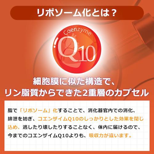 【並行輸入品】【3本セット】高濃度 90日分 リポソーム コエンザイムQ10 100mg 高吸収 180ml x 3本 液体 Dr. Plus サプリメント Liposomal Coenzyme Q10 100mgの画像