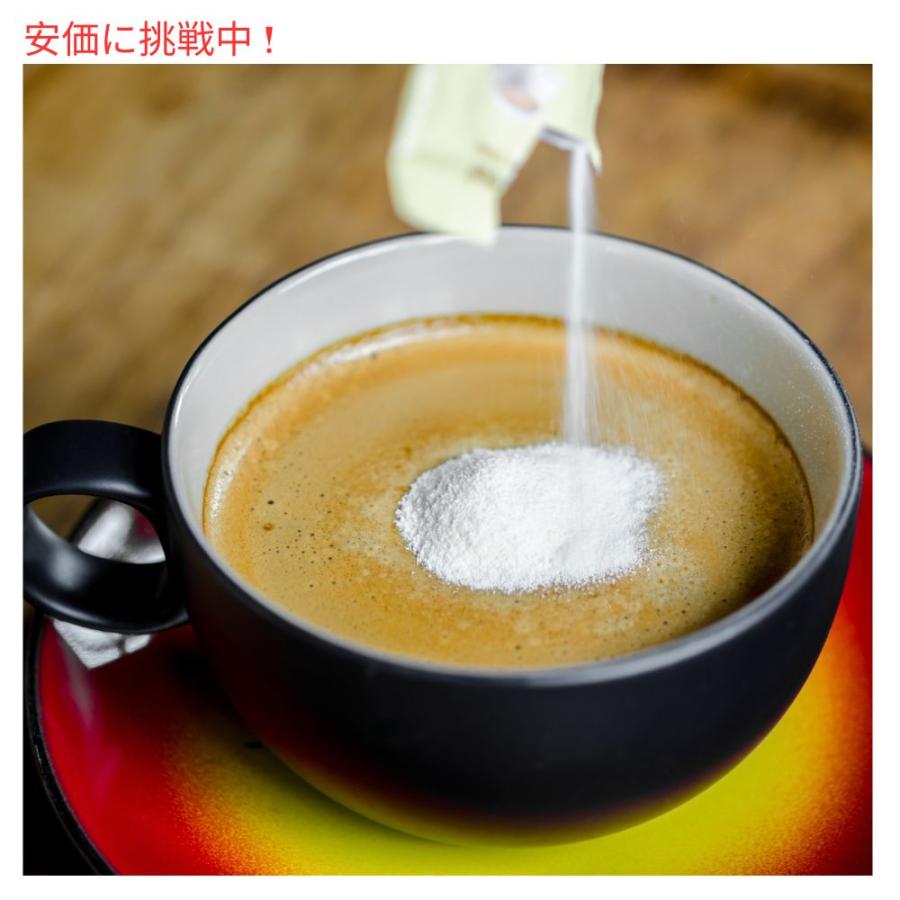 Nestle Coffee Mate Chocolate Creme Powder Coffee Creamer / ネスレ コーヒーメイト コーヒークリーマー（パウダー） フレンチバニラ 302ml(10.2oz)｜americankitchen｜07