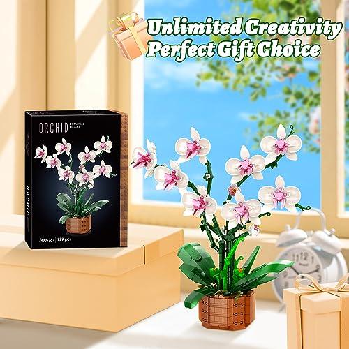 【並行輸入品】R Home 花ビルディングブロックセット(729ピース)の画像