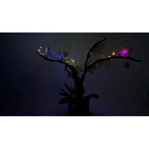 【並行輸入品】R Home 花ビルディングブロックセット(729ピース)の画像