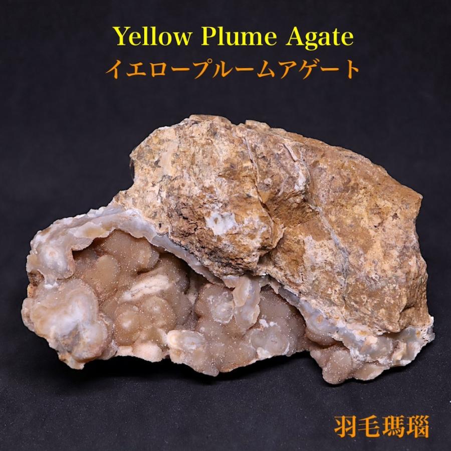 イエロープルーム アゲート 瑪瑙 171.8g YPA025 鉱物 原石 天然石 
