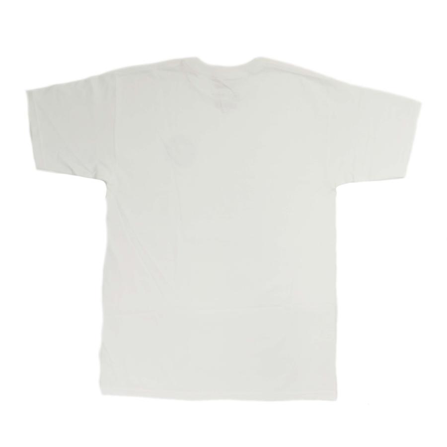 BRIXTON ブリクストン 半袖 Tシャツ ホワイト メンズ スケート サーフ 