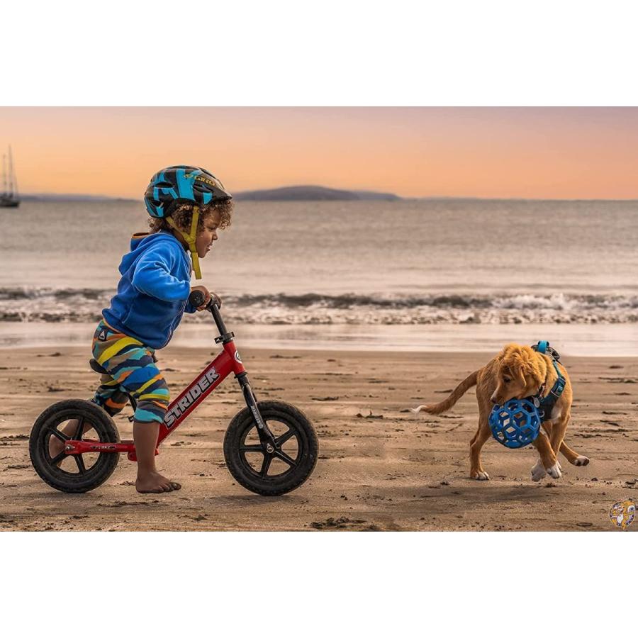 STRIDER(ストライダー) 12 SPORT (スポーツ) バランスバイク18ヶ月から5歳に最適 レッド [並行輸入品] 送料無料 STRIDER ストライダー SPORT スポーツ バランスバイク18ヶ月から5歳に最適 レッド 並行輸入品