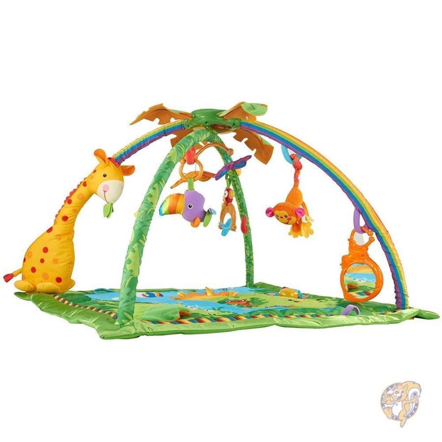 fisher price deluxe baby gym
