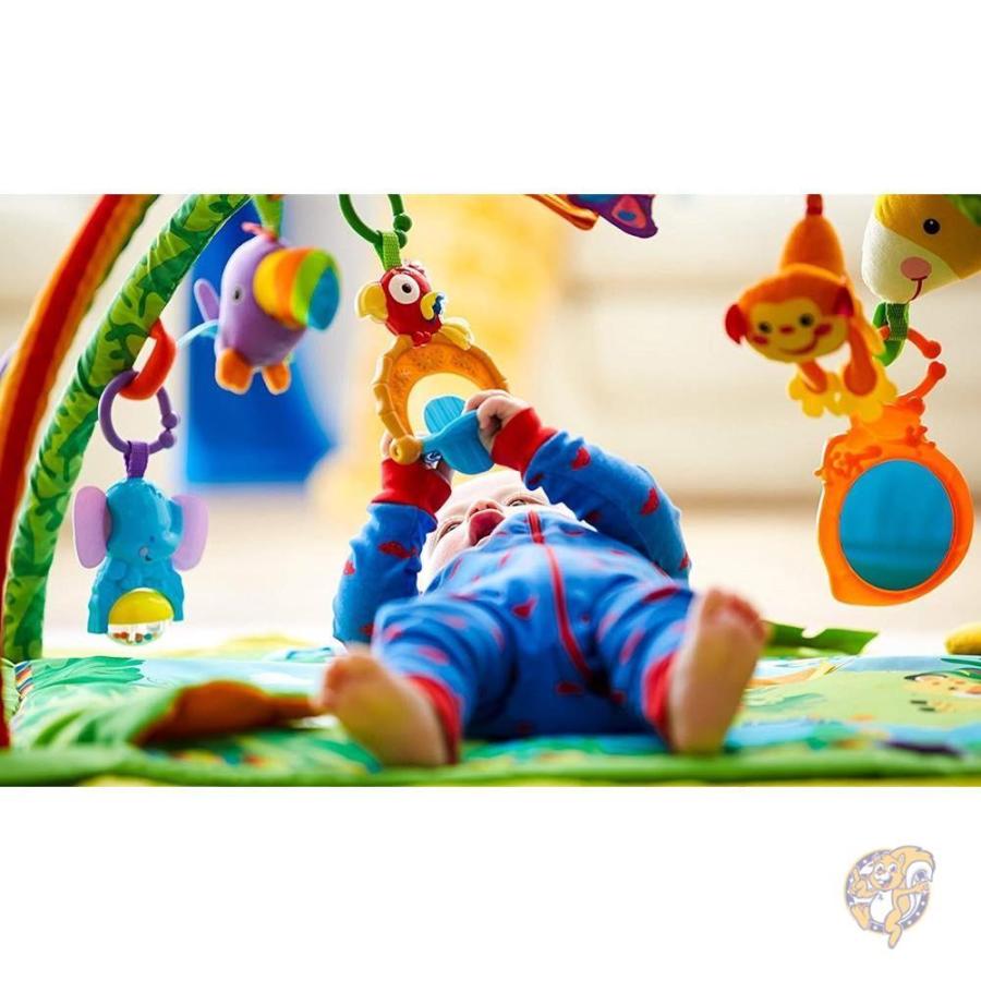 fisher price deluxe baby gym