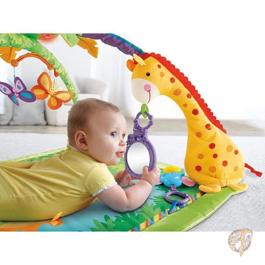 fisher price deluxe baby gym