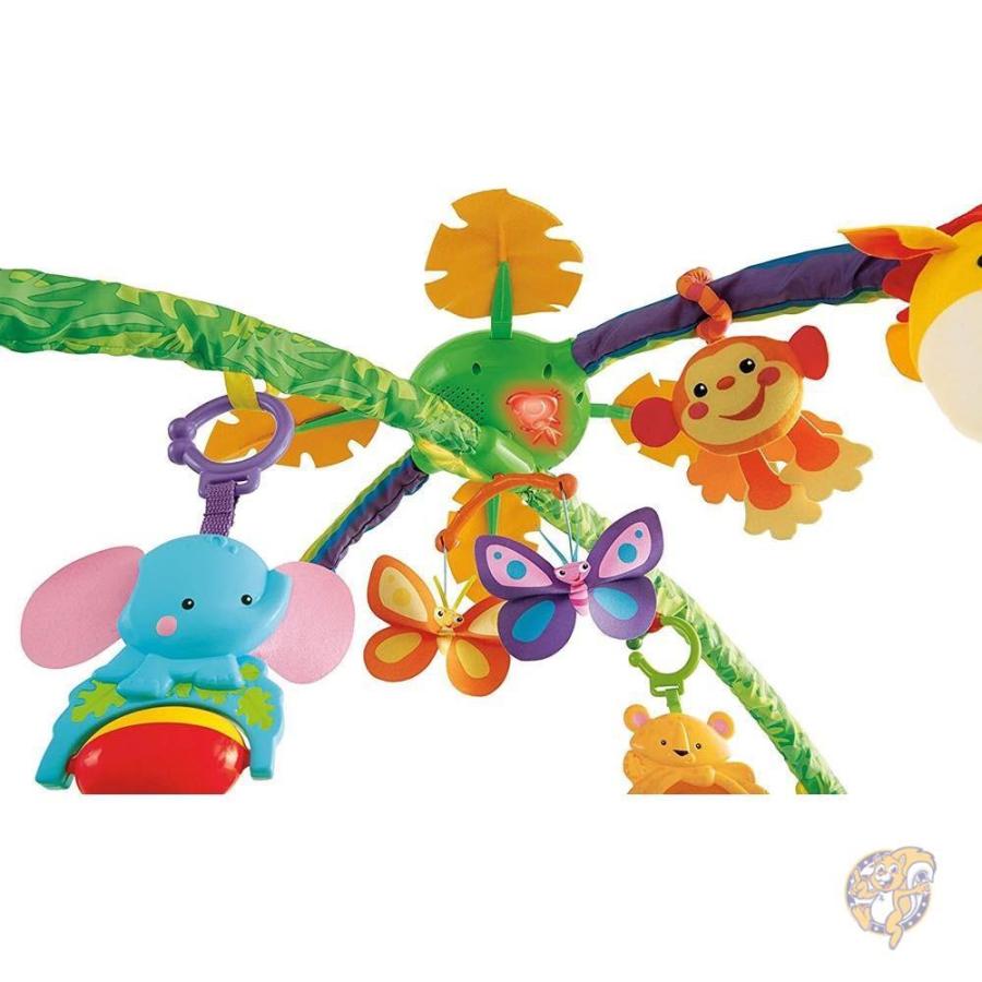 fisher price deluxe baby gym