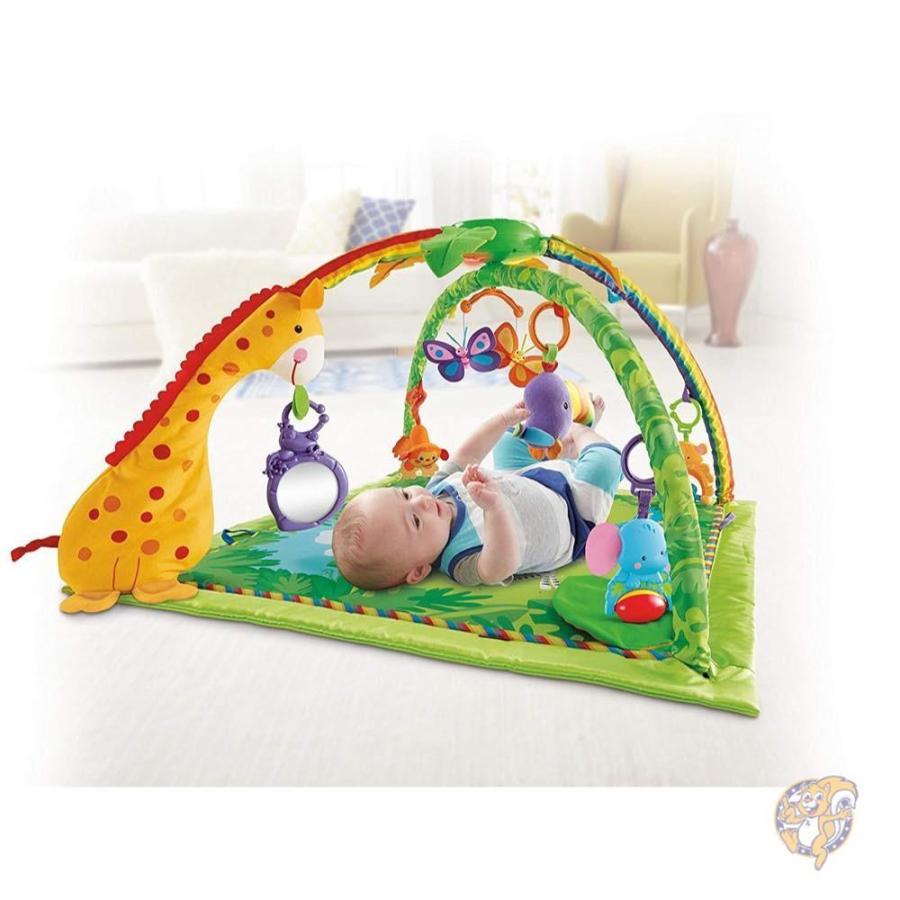 fisher price deluxe baby gym