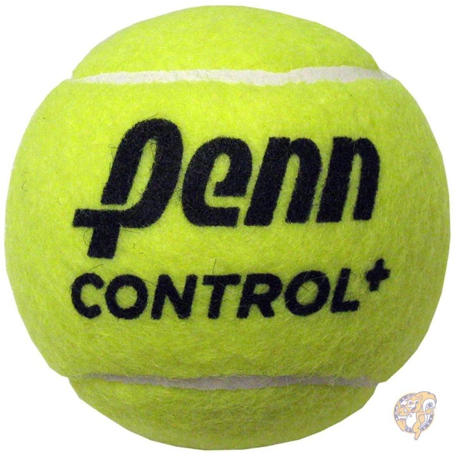 ペン テニスボールセット Penn 521932 初級者向け :B00KLXILRK:アメリカ輸入プロ - 通販 - Yahoo!ショッピング