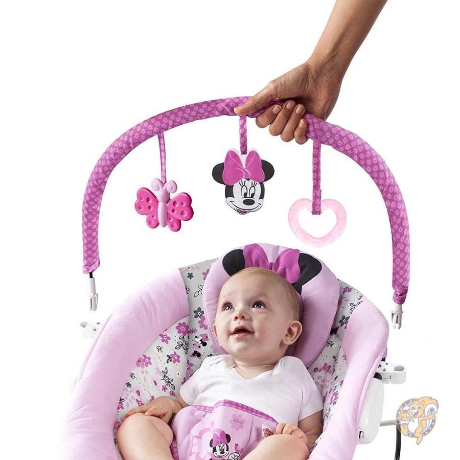minnie mouse garden delights bouncer