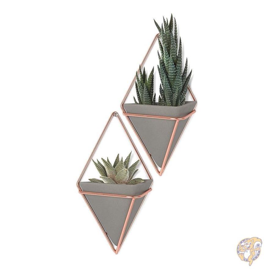 Umbra Trigg Hanging Planter Vase Geometric Wall Decor Container