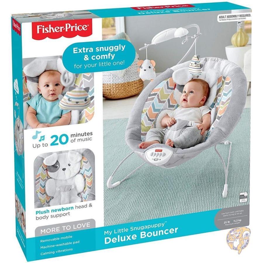 fisher price one bouncer