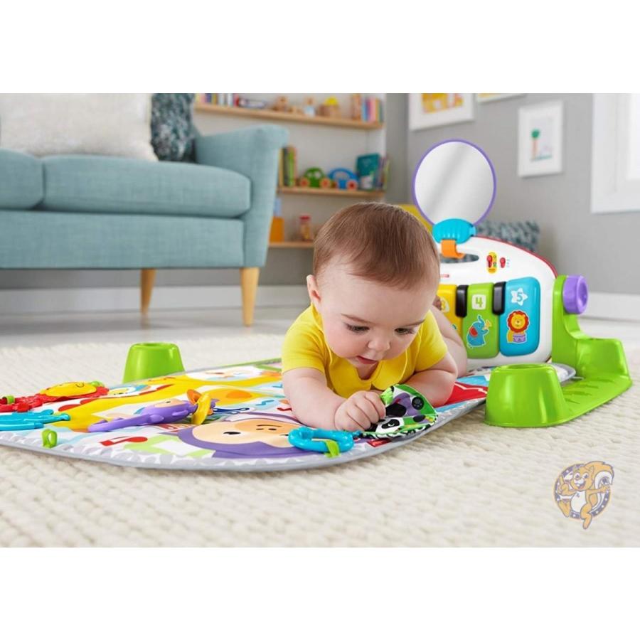 fisher price deluxe baby gym