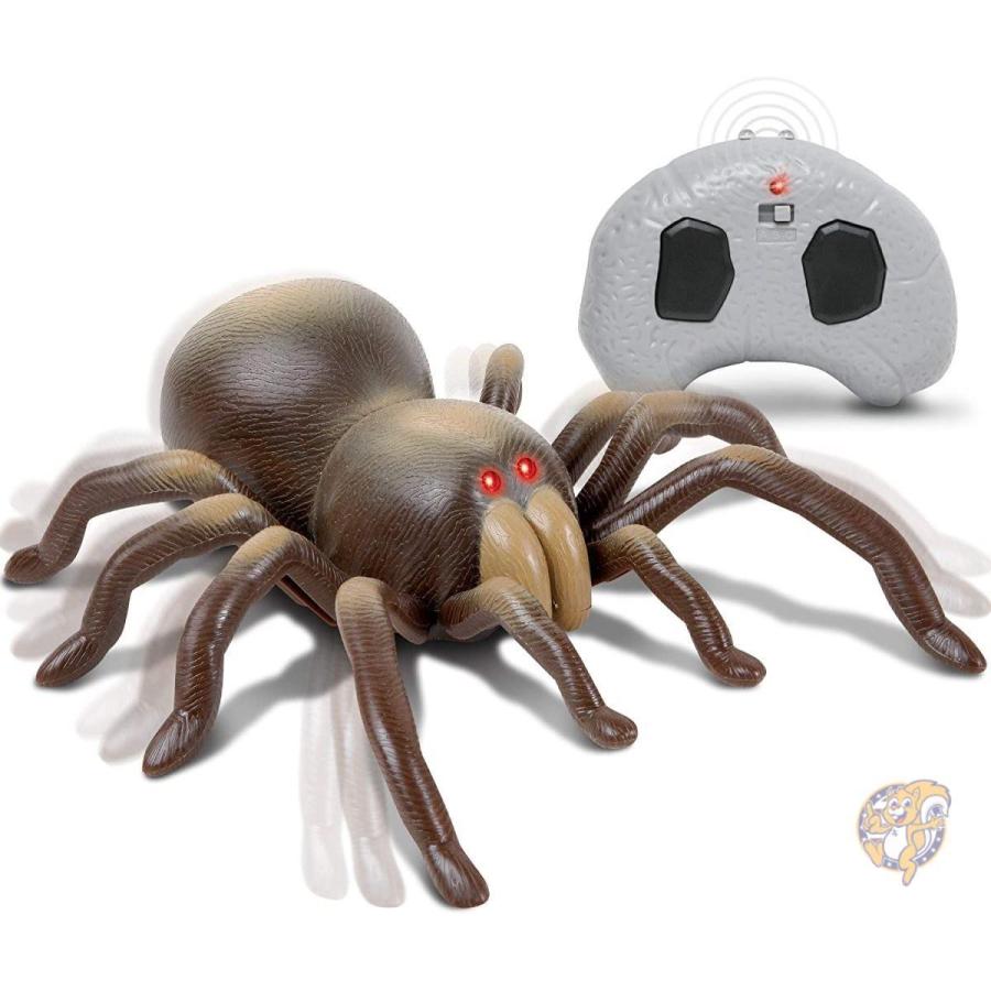 ディスカバリーキッズ リモコン操作式 タランチュラ Discovery Kids クモ おもちゃ B074jdsw28 アメリカ輸入プロ 通販 Yahoo ショッピング