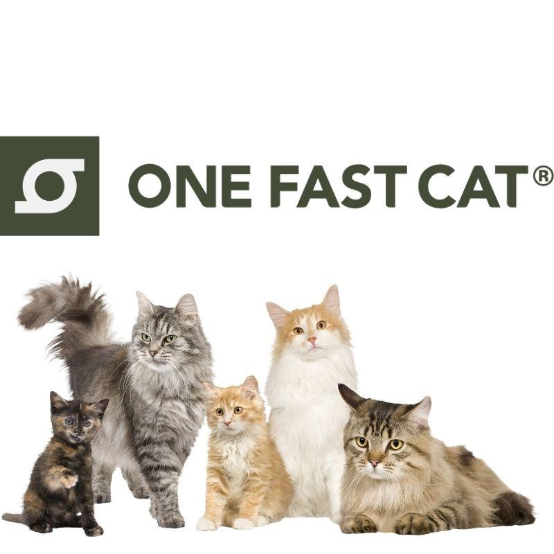 ワンファストキャット ONEFASTCAT 猫用 エクササイズ ホイール キャットホイール ★ホワイト×レオパード★ キャットウォーク｜americapro｜12