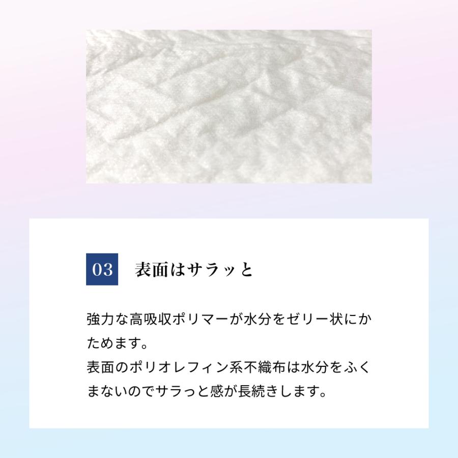 amethyst（アメジスト） 大人用紙おむつ 大人用 サラサラ生活 1枚入 大