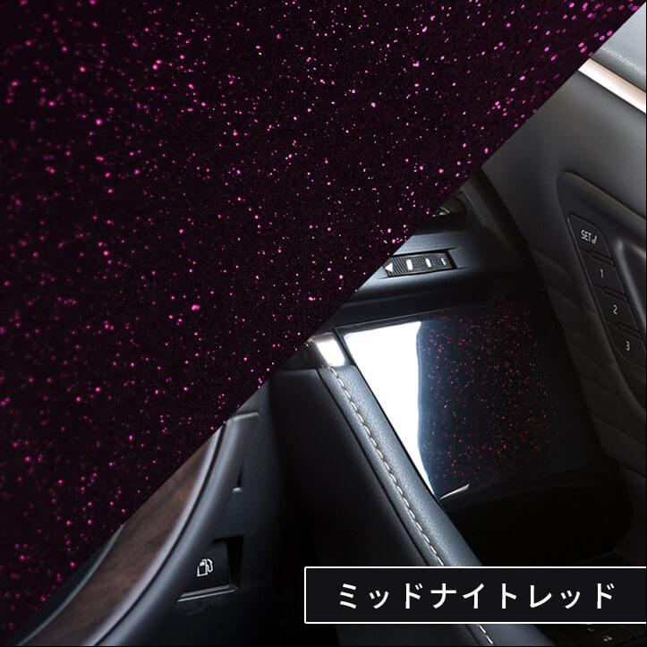 セカンドステージ トヨタ ヴェルファイア/アルファード40系 ドア
