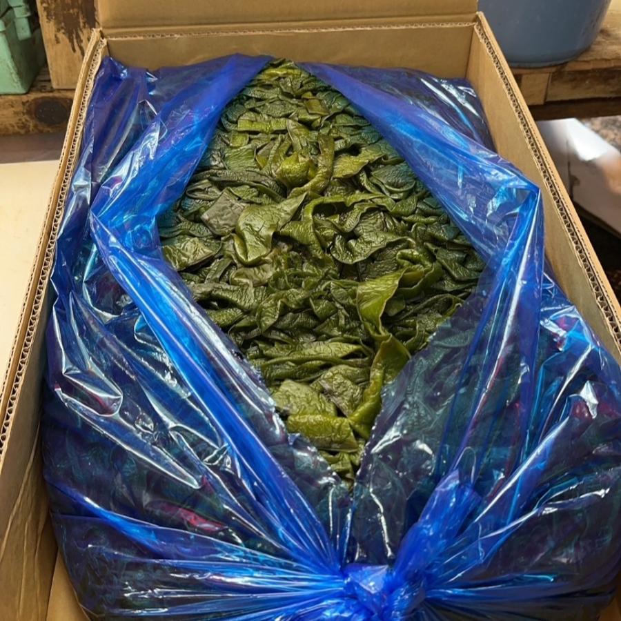 送料無料 茎わかめ 湯通し塩蔵 三陸産15kg入 業務用 お徳用 メーカーお
