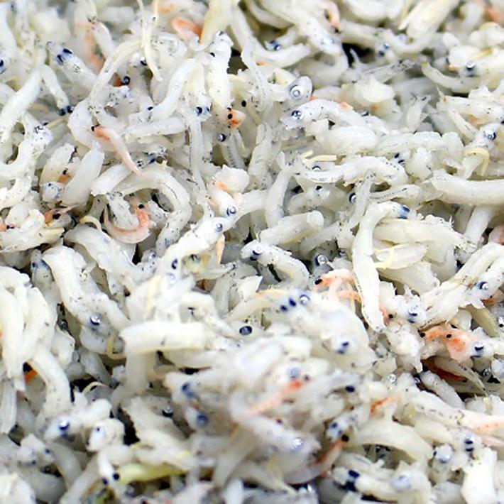 しらす シラス 国産 メーカーお任せお徳用1ｋｇ しらす干し 小魚 送p100 3個迄同一送料 Shirasu1kg アメ横海産物の丸茂商店ヤフー店 通販 Yahoo ショッピング