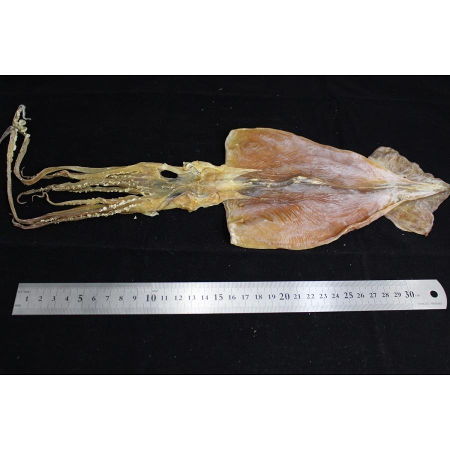 するめ 5枚入 大サイズ 約220g前後 北海道産 普通便【スルメ】送P60