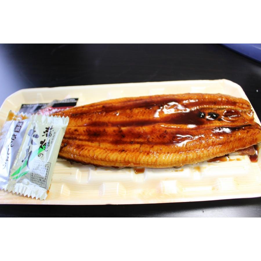 冷凍 うなぎ 蒲焼 中国産 約250g×10枚 まとめ売り ウナギ かば焼き 約250g前後 中国産【うなぎ 鰻 蒲焼】送P60 5本迄