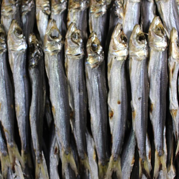 送料無料 うるめいわし 丸干し 乾物 1kg 鹿児島産 1kgで80-200匹前後