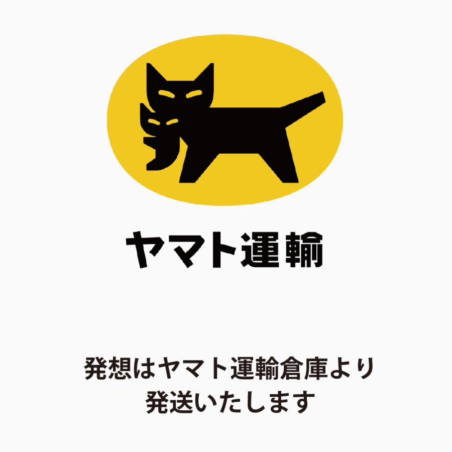 脇汗パッド 止める方法 汗取りパッド 脇汗シート ワキ汗 制汗 汗脇パッド 60枚セット ベージュ 肌色 レディース メンズ｜amezon｜13