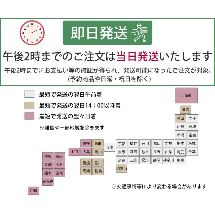 フォーマルスーツ レディース スーツ おしゃれ 40代 50代 結婚式 30代 入学式 セレモニー_4
