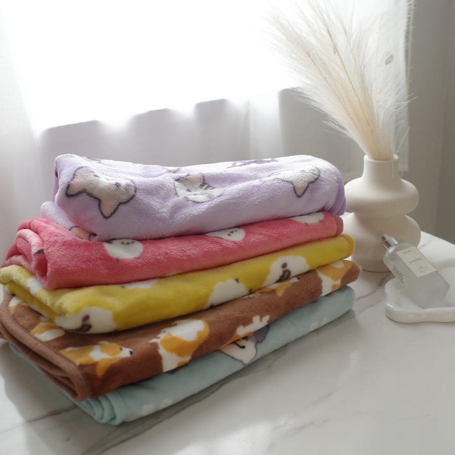 あったかひざ掛け ブランケット アウトドア おしゃれ amiami アミアミ