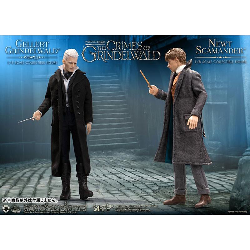 リアルマスターシリーズ ファンタスティック・ビースト ニュート・スキャマンダー 1/8[スターエース トイズ]《在庫切れ》 ファンタスティック ビースト スキャマンダー リアルマスターシリーズ ニュート 1/8 トイズ