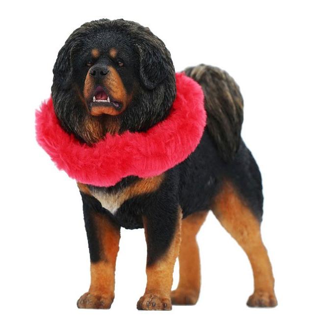 1 6 チベタン マスティフ 1 Mr Z １０月仮予約 あみあみ Paypayモール店 通販 Paypayモール