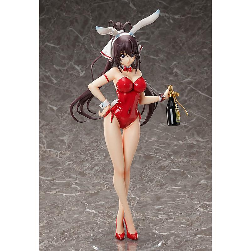 B-STYLE IS〈インフィニット・ストラトス〉 篠ノ之箒 生足バニーVer. 1