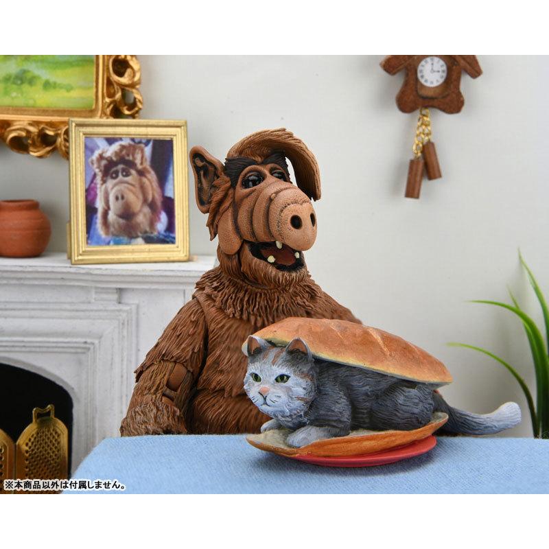 ALF/ アルフ ゴードン・シャムウェイ アルティメット アクション