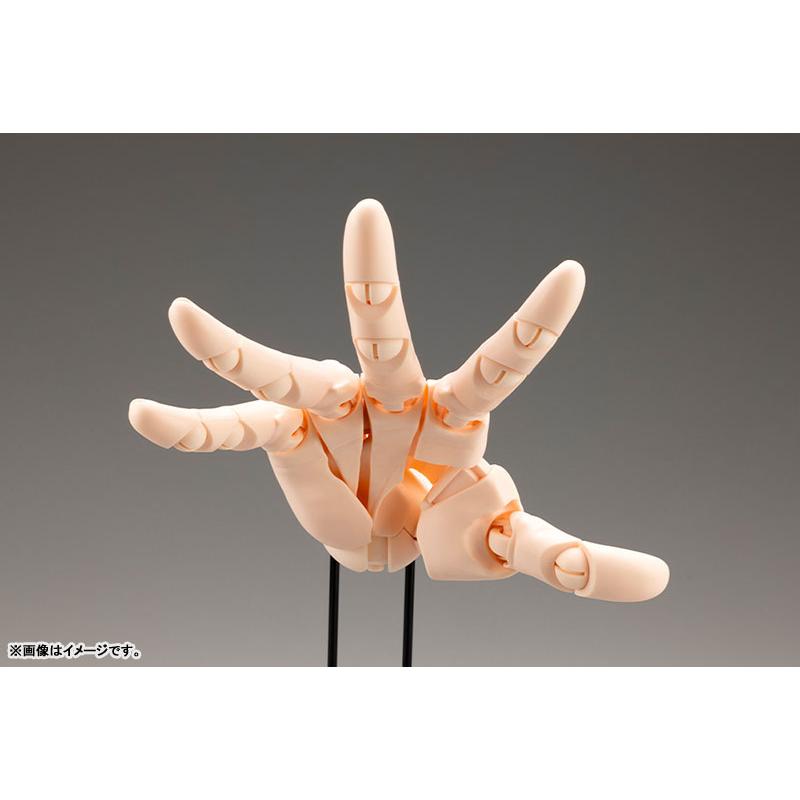 コトブキヤ ARTIST SUPPORT ITEM 加々美高浩 ハンドモデル/L -PALE 