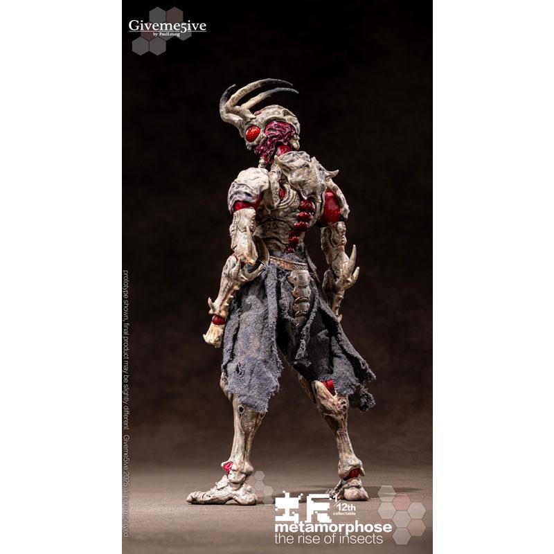 虫啓(METAMORPHOSE - THE RISE OF INSECTS)シリーズ Airoki(アイロキ