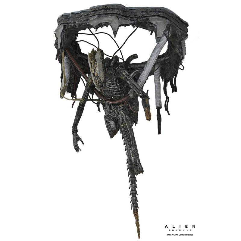 NECA エイリアンロムルスXX121 訳あり品 Pre Order ) NECA Alien: Romulus Ultimate Xenomorph XX121