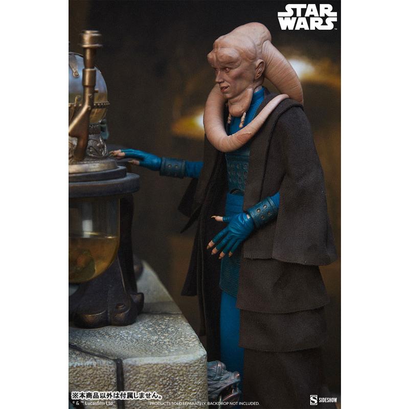 サイドショウ ビブフォーチュナスカム＆ヴィラニーオブスターウォーズホットトイズ スター・ウォーズ』1/6スケールフィギュア スカム＆ヴィラニー・オブ