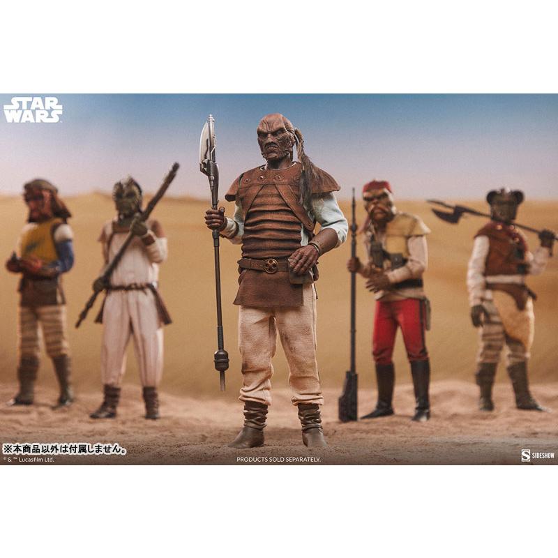 『スター・ウォーズ』1/6スケールフィギュア スカム＆ヴィラニー・オブ・スター・ウォーズ パゲッティ・ルック[サイドショウ]【送料無料】《発売済・在庫品》_2