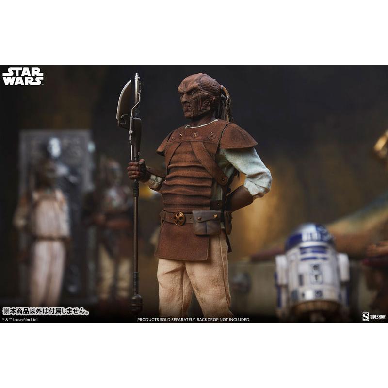 『スター・ウォーズ』1/6スケールフィギュア スカム＆ヴィラニー・オブ・スター・ウォーズ パゲッティ・ルック[サイドショウ]【送料無料】《発売済・在庫品》_3