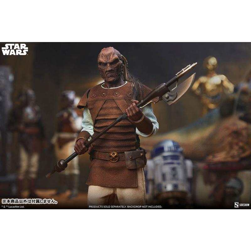 『スター・ウォーズ』1/6スケールフィギュア スカム＆ヴィラニー・オブ・スター・ウォーズ パゲッティ・ルック[サイドショウ]【送料無料】《発売済・在庫品》_4